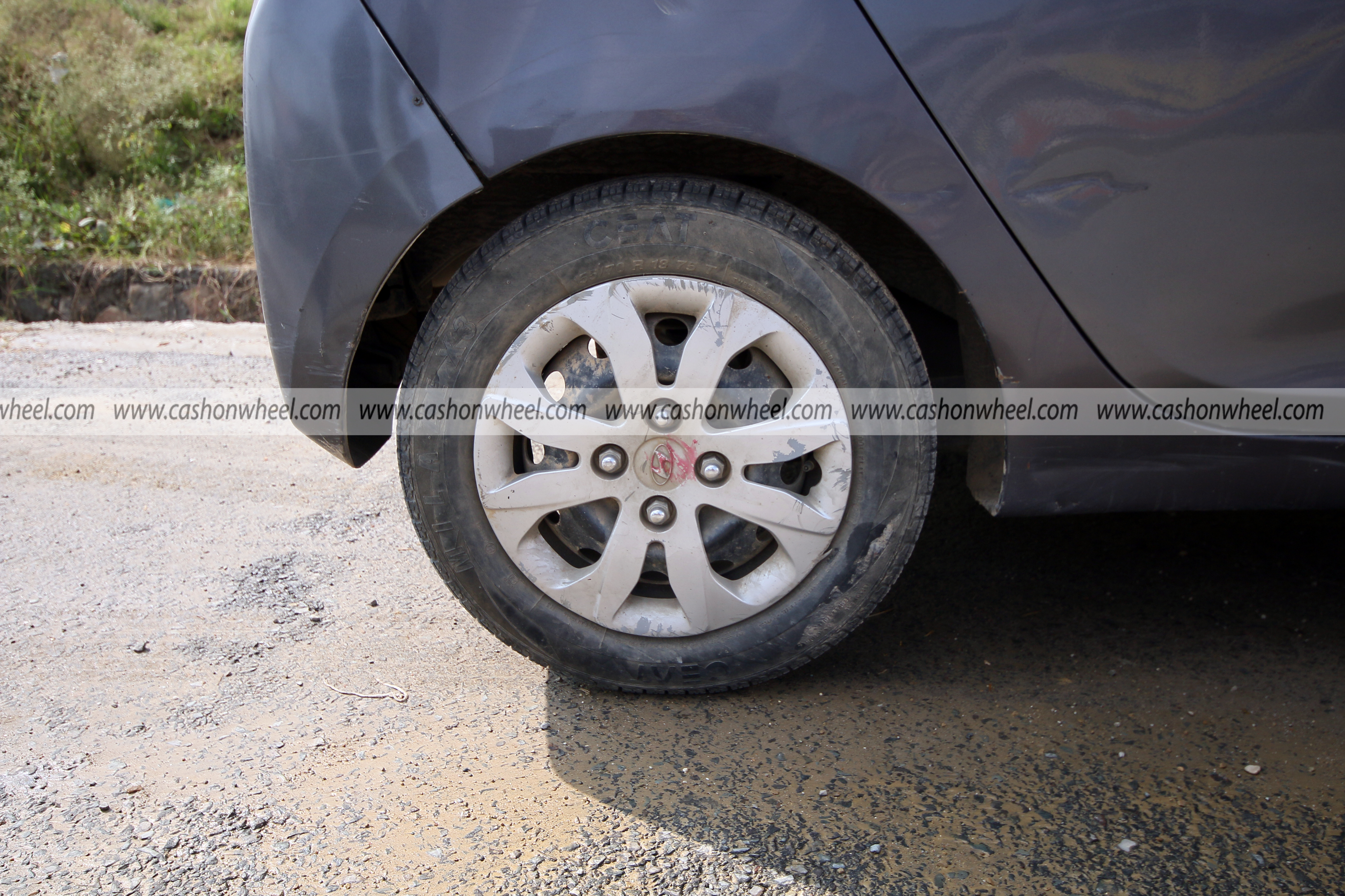 Cash on Wheel